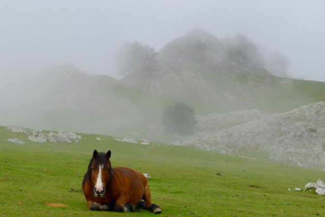 Campas de Urbia : foto en Oñati