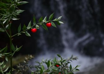 Cascada de Urkullueta