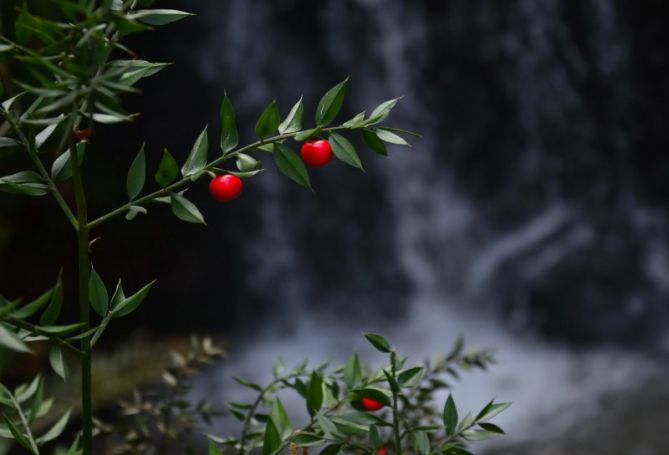 Cascada de Urkullueta: foto en Zerain