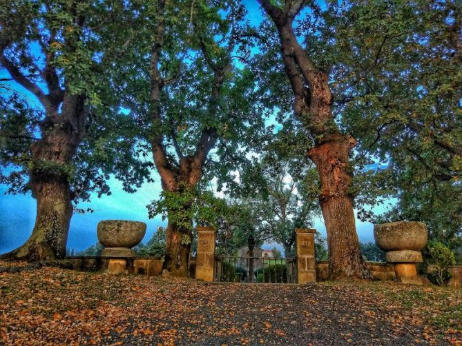 Cementerio de Apotzaga: foto en Eskoriatza