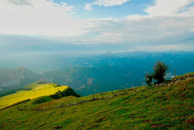 Claro en Aloña.: foto en Oñati