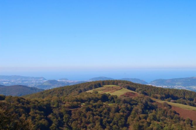 Colores de otoño: foto en Donostia-San Sebastián