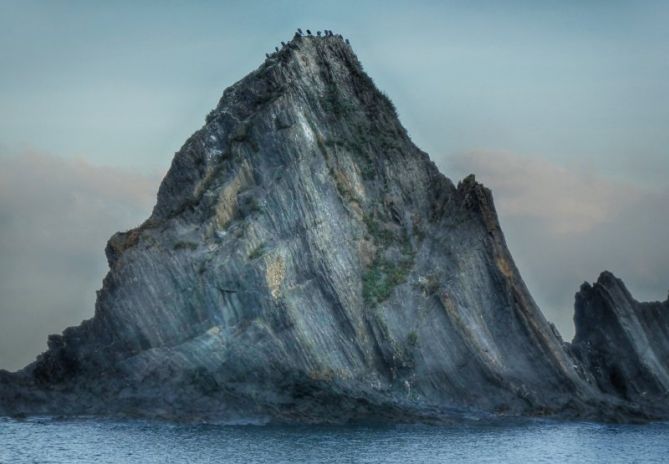 Cormoranes en Saturrarán: foto en Mutriku