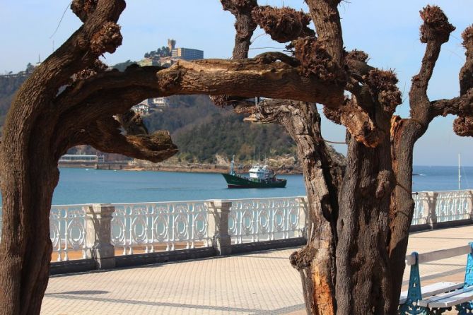 Cuadro viviente: foto en Donostia-San Sebastián