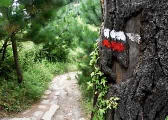 Deba-Zumaia kostaldeko bidea
