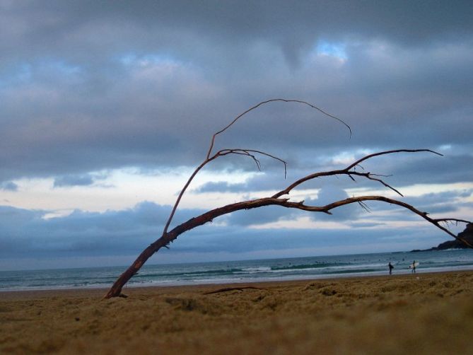 enmarcados: foto en Donostia-San Sebastián