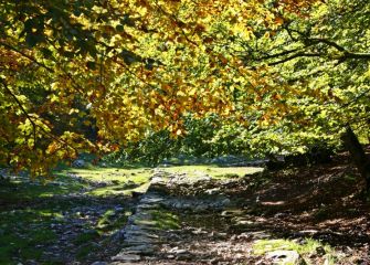 Erromatarren galtzada