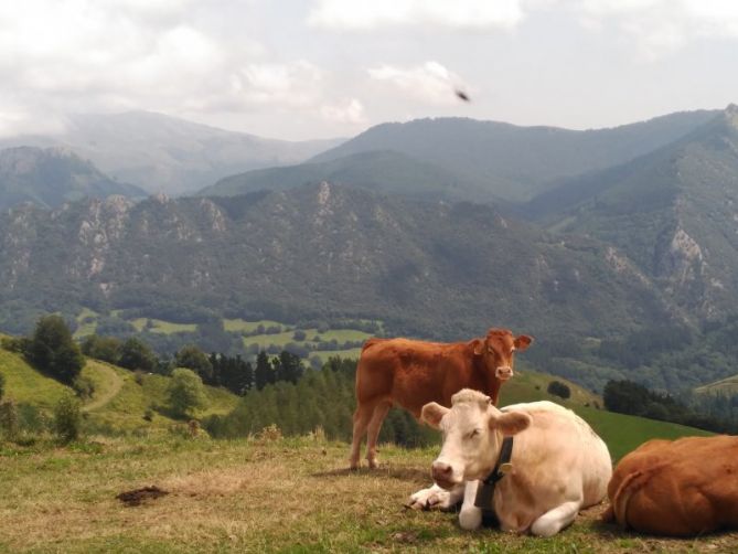 Esparru aldetik: foto en Idiazabal