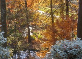 Fantasía de colores en Cristina-Enea
