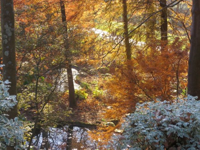 Fantasía de colores en Cristina-Enea: foto en Donostia-San Sebastián