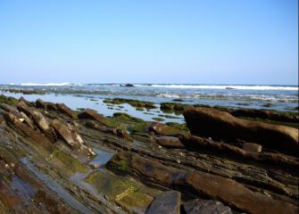Flysch desde Sakoneta
