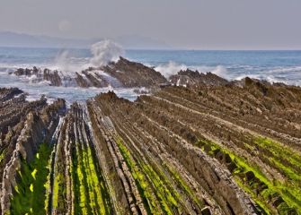 Flysch de Zumaia -7