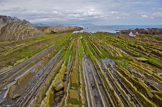 Flysch de Zumaia con marea baja : foto en Zumaia