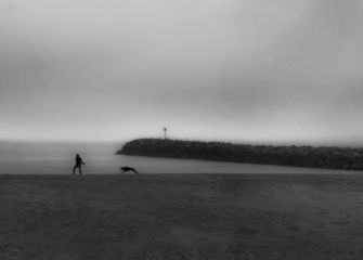 Frisbee on the beach