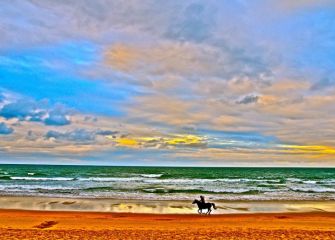 Galopando en la playa 