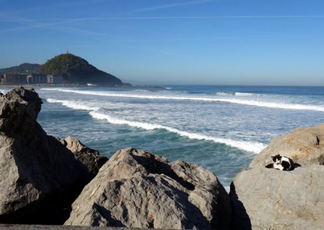 gato tomando el sol: foto en Donostia-San Sebastián