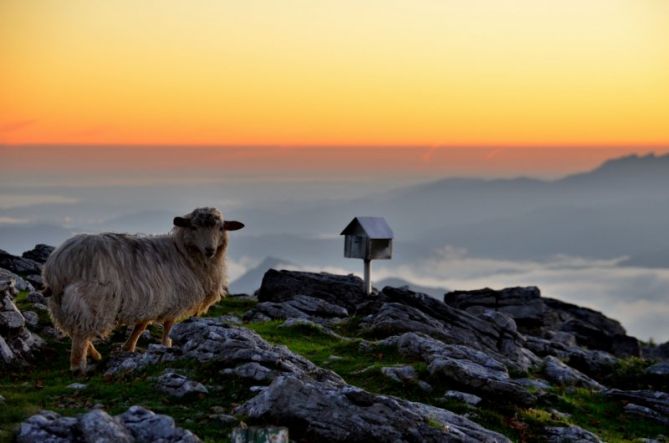 Gazume: foto en Errezil