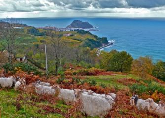 Getaria ( En Otoño)