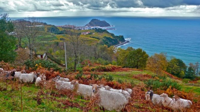 Getaria ( En Otoño): foto en Getaria