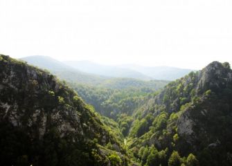 Green Basque Country