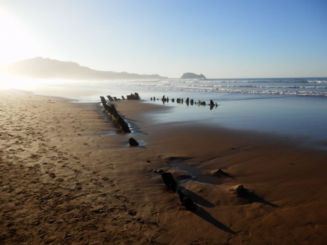 Gure Gustav: foto en Zarautz