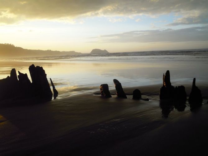 GUSTAV: foto en Zarautz