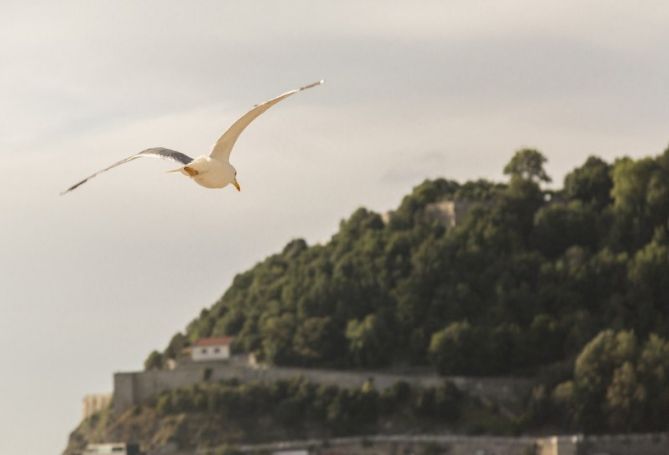 Hacia Urgull.: foto en Donostia-San Sebastián