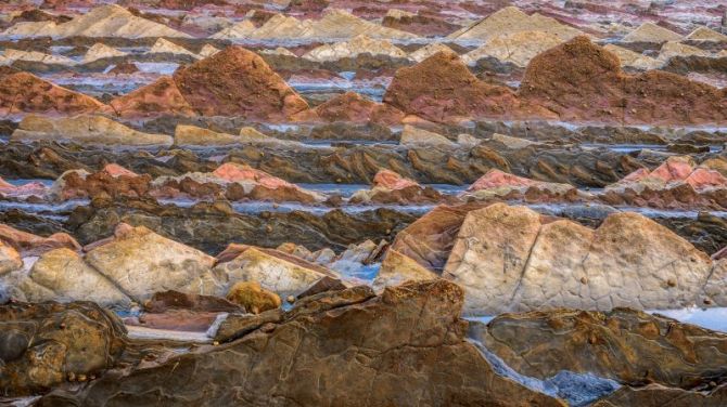 Hojaldre de roca: foto en Deba