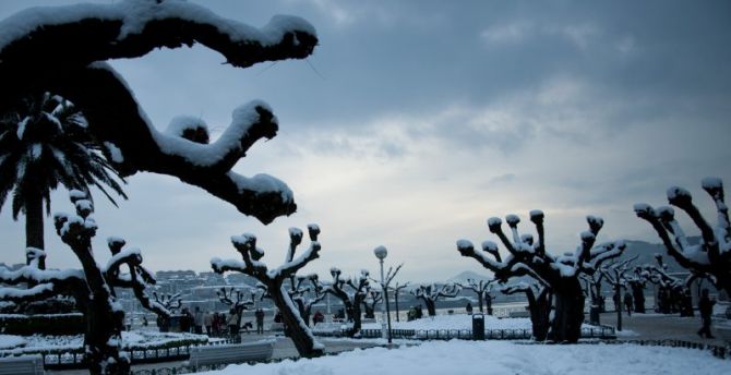 El invierno donostiarra: foto en Donostia-San Sebastián