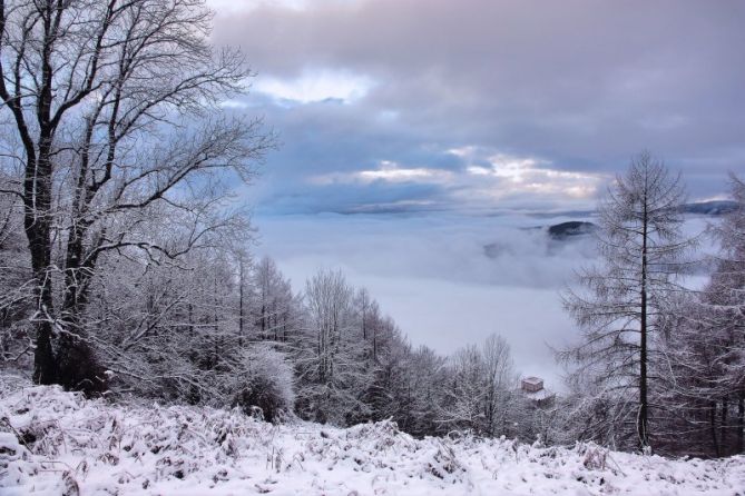 Invierno en Irimo: foto en Urretxu