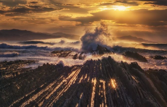 Itzurun basatia: foto en Zumaia