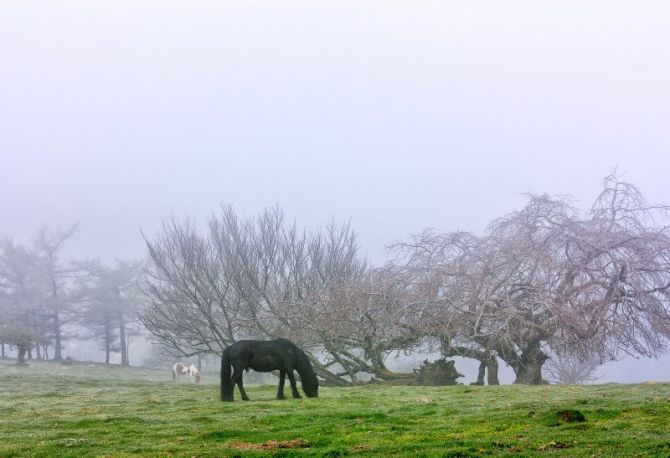 Izazpi: foto en Zumarraga