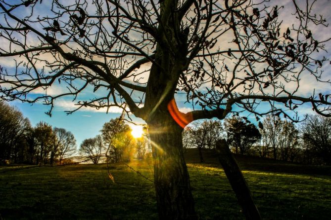 izpi txiki txikiren bat: foto en Oiartzun