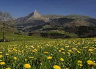 JARDIN NATURAL