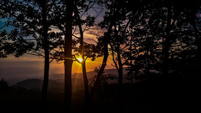 kolorea eman mundu grixari: foto en Oiartzun