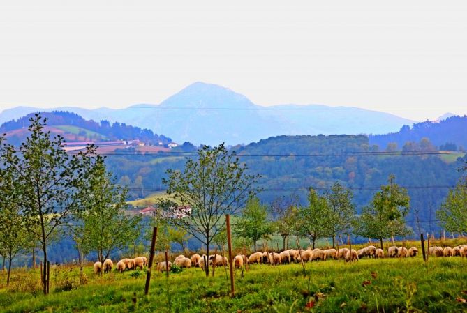 Langaurre Inguruko Bistak: foto en Alegia