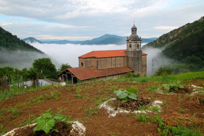 LLeno de vida: foto en Beizama