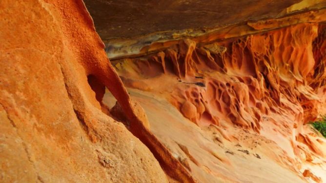 Los colores de la Naturaleza: foto en Lezo