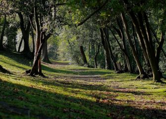 Luces, sombras y descanso.