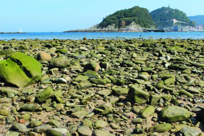 Marea baja: foto en Donostia-San Sebastián