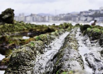 Marea Baja en Ondarreta