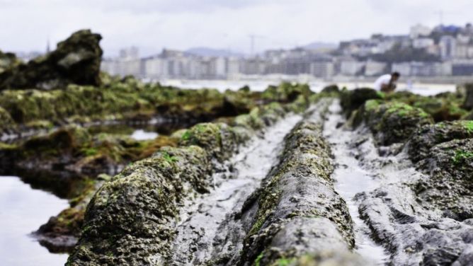 Marea Baja en Ondarreta: foto en Donostia-San Sebastián