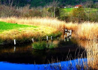 marismas de Jaizubia