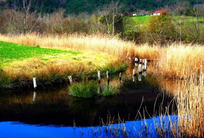 marismas de Jaizubia: foto en Hondarribia