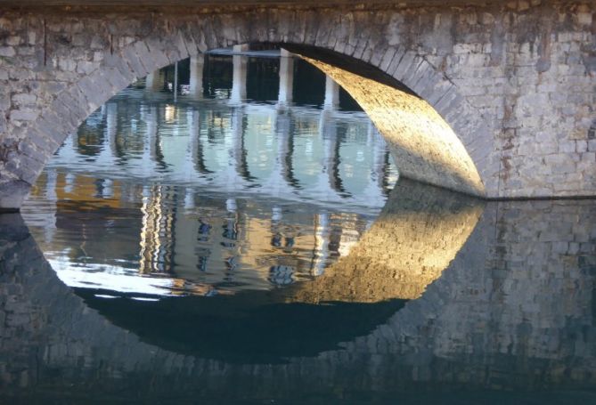 Mirada: foto en Tolosa