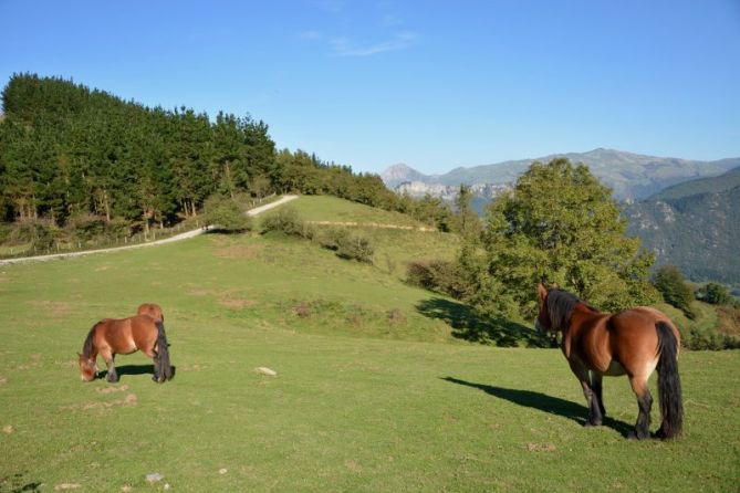 Mirando a Aizkoate y Txindoki: foto en Lazkao