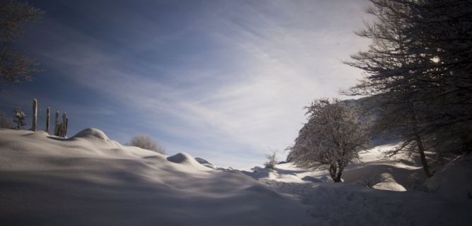 Negua/ Invierno: foto en Oñati