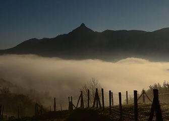 NIEBLA SOBRE ZALDIBIA