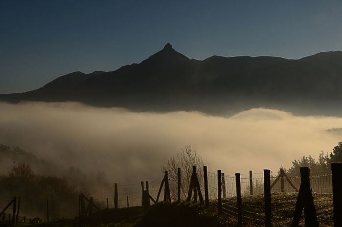 NIEBLA SOBRE ZALDIBIA: foto en Zaldibia