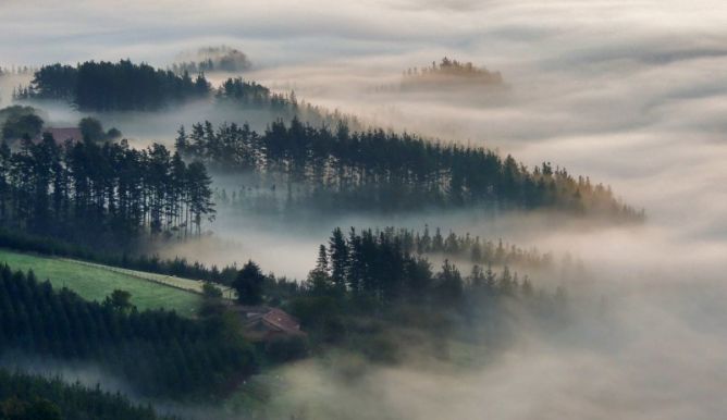 Nieblas: foto en Elgeta